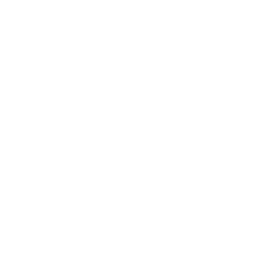 Fluxberry AI